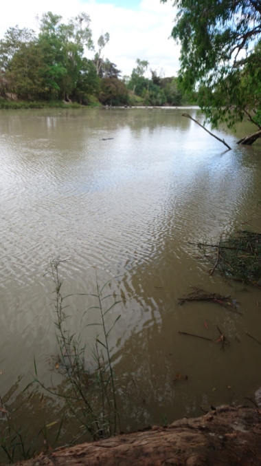 Et au milieu, flotte un croco. East Alligator River, Kakadu National Park