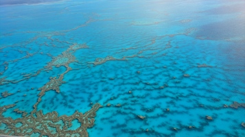 Récifs de la Grande Barrière de Corail